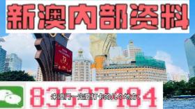 2021澳门精准资料免费公开,动态分析解释定义_优选版67.584