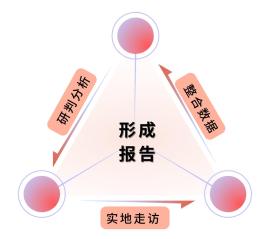 王中王传真全面解答与核心落实指南-图8