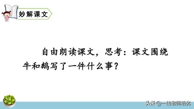 统编四年级上册牛和鹅课文重点解析及课件概览-图11