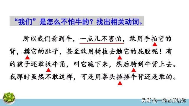 统编四年级上册牛和鹅课文重点解析及课件概览-图14