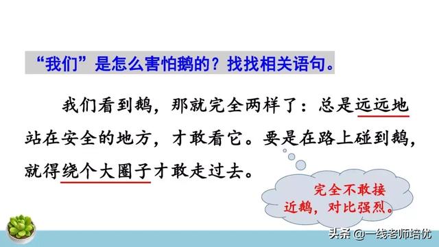 统编四年级上册牛和鹅课文重点解析及课件概览-图16