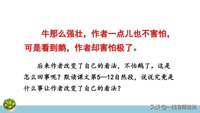 统编四年级上册牛和鹅课文重点解析及课件概览-图17