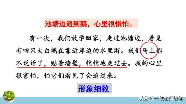 统编四年级上册牛和鹅课文重点解析及课件概览-图18