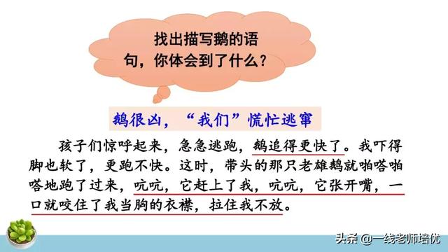 统编四年级上册牛和鹅课文重点解析及课件概览-图21