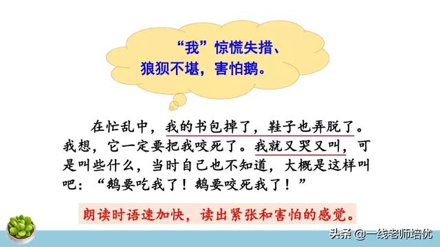 统编四年级上册牛和鹅课文重点解析及课件概览-图22