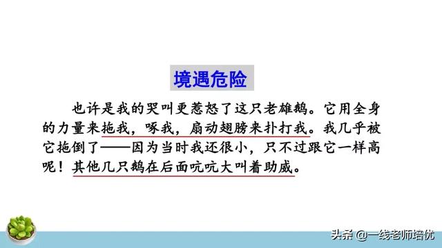 统编四年级上册牛和鹅课文重点解析及课件概览-图23