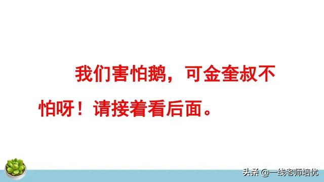 统编四年级上册牛和鹅课文重点解析及课件概览-图24