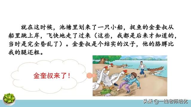 统编四年级上册牛和鹅课文重点解析及课件概览-图25