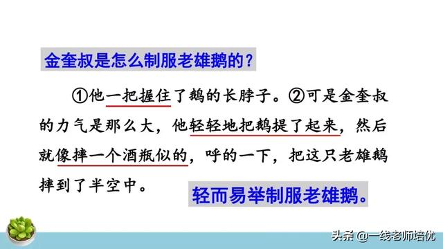 统编四年级上册牛和鹅课文重点解析及课件概览-图26