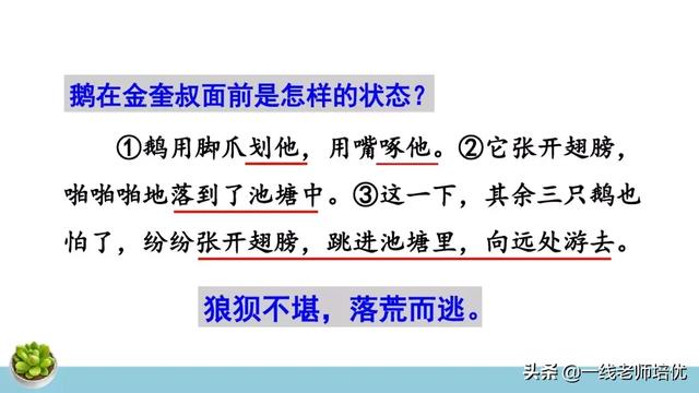 统编四年级上册牛和鹅课文重点解析及课件概览-图27