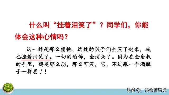 统编四年级上册牛和鹅课文重点解析及课件概览-图28