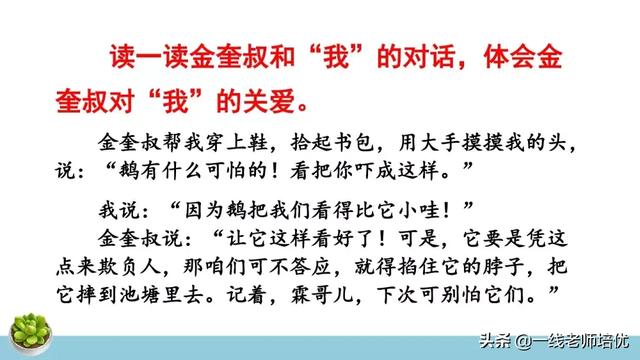 统编四年级上册牛和鹅课文重点解析及课件概览-图29