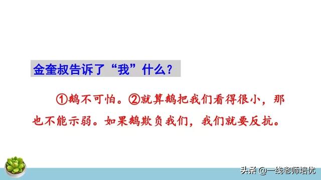 统编四年级上册牛和鹅课文重点解析及课件概览-图30