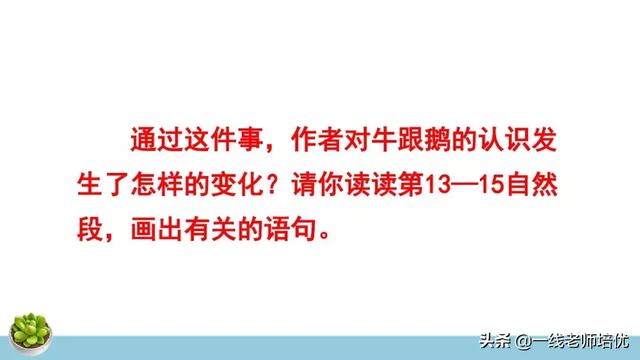 统编四年级上册牛和鹅课文重点解析及课件概览-图31