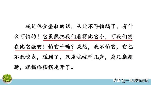 统编四年级上册牛和鹅课文重点解析及课件概览-图32