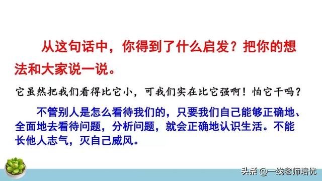 统编四年级上册牛和鹅课文重点解析及课件概览-图33