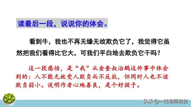 统编四年级上册牛和鹅课文重点解析及课件概览-图34