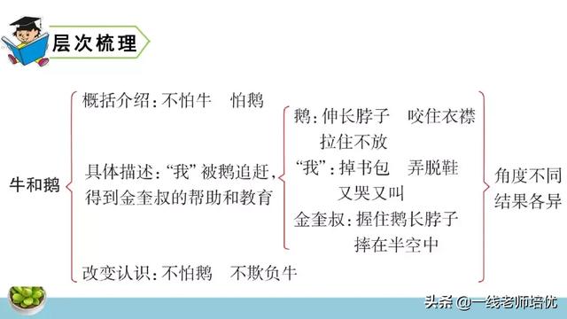 统编四年级上册牛和鹅课文重点解析及课件概览-图37