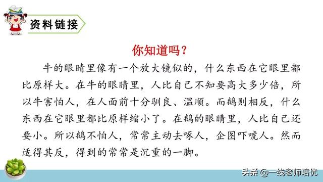 统编四年级上册牛和鹅课文重点解析及课件概览-图40