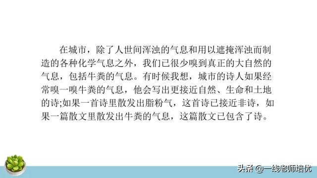 统编四年级上册牛和鹅课文重点解析及课件概览-图49