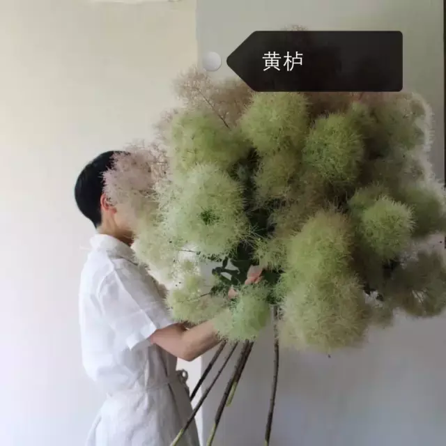 150种鲜花图谱大全，挑战你的识花能力！